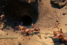 禁闭求生04 进入蚂蚁巢穴！这里面会有什么宝贝？