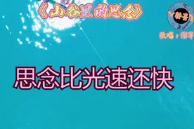 谢军《山谷里的思念》思念比光速还快，旋律优美歌声柔情，真原唱