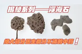揭秘系列——浮海石：绝大部分医生都分不清的中药！视频封面