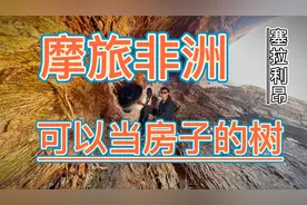 小伙骑5000买来的摩托去塞拉利昂，遇到参天大树被雷击倒，乘乘凉视频封面