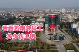 采访五粮液酒厂员工，职工月入过万，管理和酿造师傅薪三十万以上视频封面