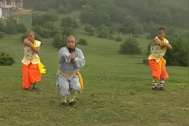 少林寺武术绝学宝典秘籍七星拳拳法演练套路教学视频封面