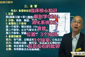 解剖学02消化系统03食管：位置、3个分部，3个狭窄、前后左右毗邻