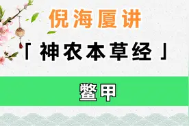 鳖甲 | 倪海厦讲《神农本草经》