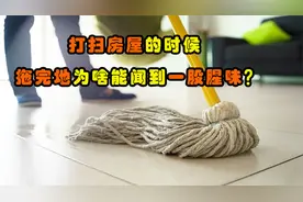 打扫房屋卫生时，为什么拖地之后，会闻到一股腥味呢？视频封面