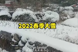 2022年2月20日桂林资源县下起了鹅毛大雪，越下越大，会下暴雪吗视频封面