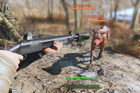 辐射4：意外发现2只变异猛犬，被它们咬一口狂犬疫苗都救不了你