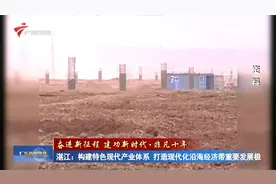 湛江：构建特色现代产业体系 打造现代化沿海经济带重要发展极视频封面
