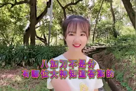 搞笑视频，八加刀不是分，有哪位大神知道答案的？求解答！