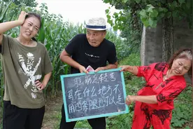 脑筋急转弯：马在什么地方不用四条腿也可以走？答对奖2000元