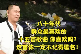 八十年代群众最喜爱的十五首歌曲之一，你还记得这首歌吗？