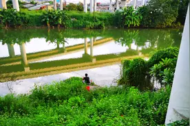 广东这个地方钓鱼经常爆护，太阳晒不到雨淋不到的天然好钓点视频封面