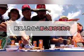 每年吃掉200万只狗，韩国人为什么那么爱吃狗肉