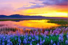 【冥想舒适轻音乐】时光悄悄地溜走，夕阳也渐渐收敛了光芒。