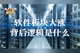 软件板块大涨，背后的逻辑是什么？视频封面
