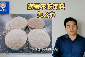 螃蟹最近不吃饲料怎么办？三种情况要分清。田老头螃蟹养殖技术