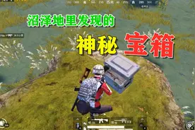 和平精英：沼泽地发现神秘宝箱，开出一把Aug粉丝果然没骗人！