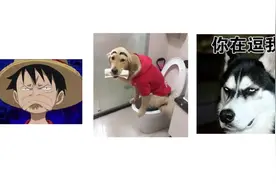 【蒋老师侃物理】时间的测量（你知道时分秒为什么是60进制吗？）