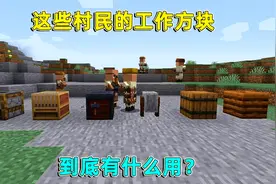 我的世界：冷知识系列！这些村民的工作方块，你知道怎么使用吗？