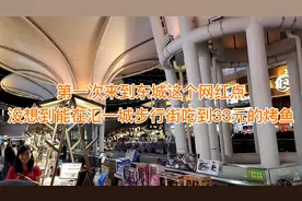 第一次来到东莞东城网红点，汇一城步行街竟然能吃到33元的烤鱼视频封面