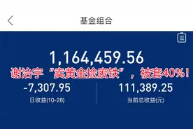 谢治宇“卖黄金捡废铁”，被套40%！视频封面