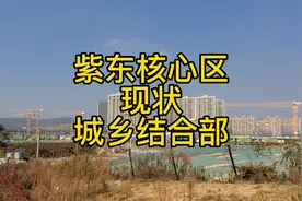 紫东核心区规划超前，现状却是城乡结合部，未来遥遥无期啊！视频封面