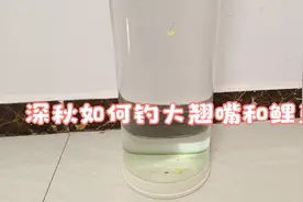 超长子线线组，一钩悬浮一钩躺底，深秋专钓大翘嘴和鲤鱼