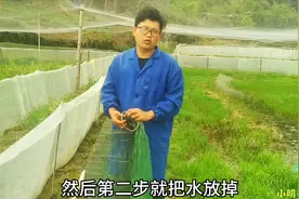 如何彻底清理蛙池老蛙？小明教大家用这招，这可是血泪史换的经验