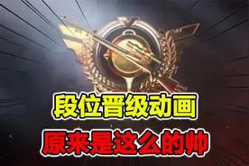 和平精英段位晋级动画演示，你了解过几个？