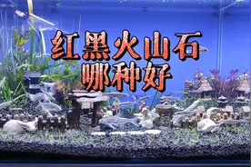 鱼缸底砂，红色火山石好还是黑色好？火山石颗粒红色和黑色的区别