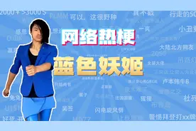 【网梗课代表】蓝色妖姬是什么梗？视频封面