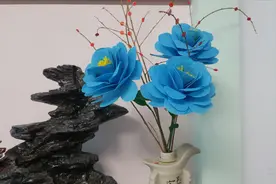 蓝色的购物袋——教你做一束不一样的鲜花。装饰你的房间吧