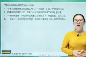 加点词语的正确使用习题解析