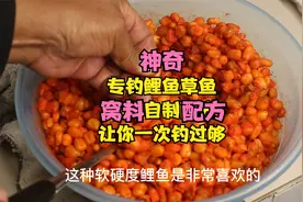 神奇的专钓鲤鱼草鱼的玉米窝料自制配方，让你一次钓过够视频封面