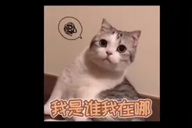 女生为什么会娇喘？这个视频给你答案视频封面