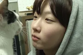 患有脑瘫的喵星人站不稳，不能独自吃饭或小便，多亏了它的小主人