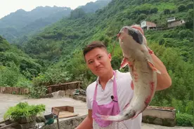 六斤一两的江团鱼，比我们家菜板都大，弄了给全家过六一儿童节！