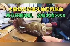 大厨抽筋再放血，石斑鱼疼得嗷嗷叫，两刀开膛破肚，这技术值5000视频封面