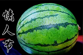 老板：明天情人节有没有什么表示？我：表示个瓜！视频封面