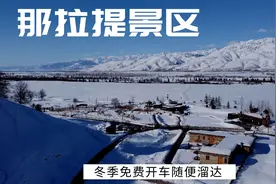 冬季的那拉提景区门票免费 开车进去随便溜达 这雪景太治愈了视频封面