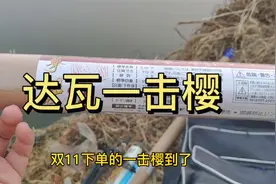 开箱视频，达瓦入门级鱼竿一击樱，值得购买吗视频封面