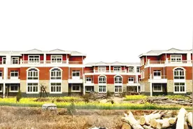 农村统一规划的三层别墅，竟然废弃1年无人居住，这是什么原因？视频封面