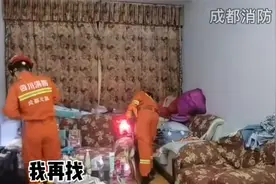 #成都# “小青”🐍现身家中，竟与蓝朋友玩起捉迷藏视频封面