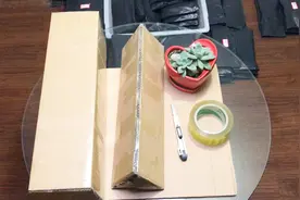 简单方便的植物打包方法，邮寄植物更安全，不易受损视频封面