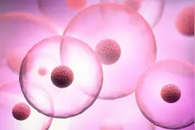 胚胎的辅助孵化是什么？生殖医生给出了明确答复，助你迎好孕视频封面