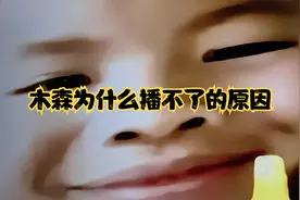 木森为什么播不了的原因