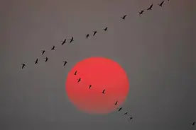 【A12】元素及其化合物推断题分析