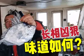 老海捞到罕见大眼鱼，看着凶狠霸气长相渗人，吃起来格外新鲜肥美视频封面