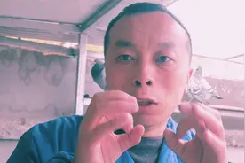 鸽子挑食怎么办，你试试这一招，改掉浪费粮食！