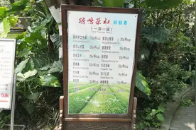 成都人民公园里的茶馆应该是最多，看看这价格合适吗？视频封面
